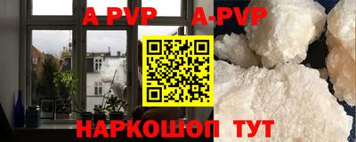 прущие грибы Шахты