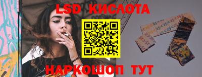 прущие грибы Шахты