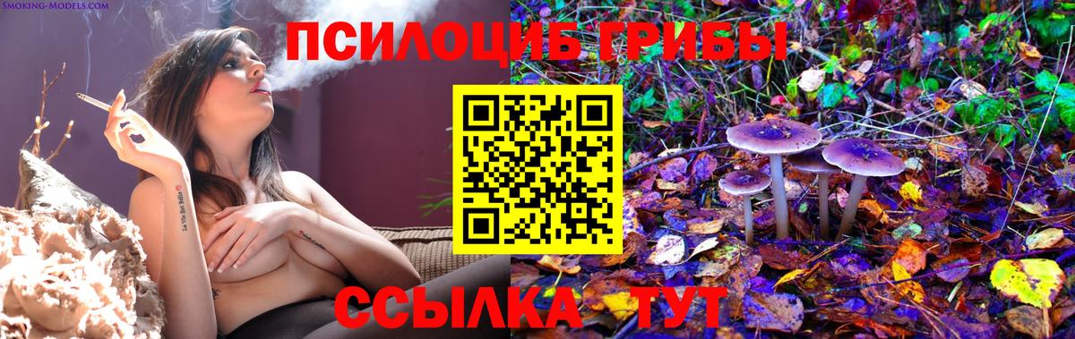 Галлюциногенные грибы MAGIC MUSHROOMS Кумертау